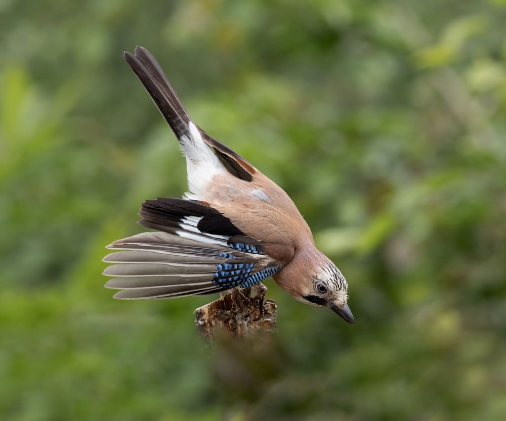 Фотография автора MARIA KULA