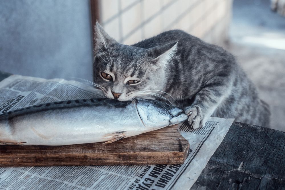 Photograph by Чорный Александр