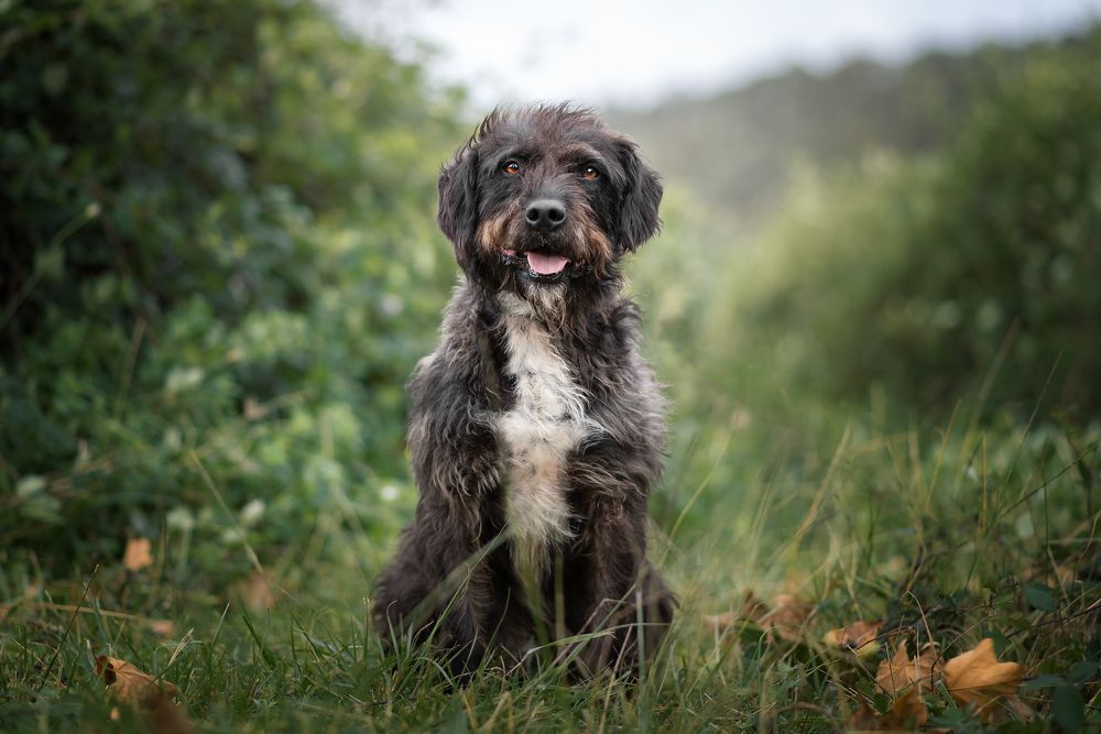 Фотография автора lucia saiz