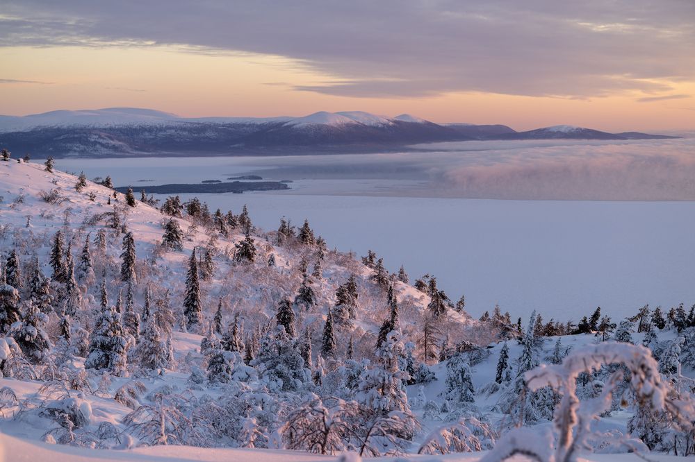 Photograph by Diana Karp