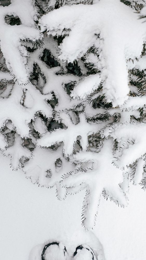 Photograph by  Kerry Moore