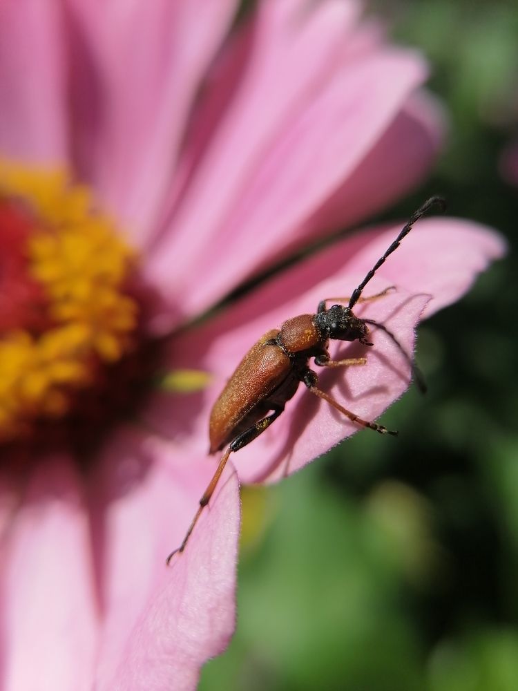 Photograph by Станислав Евсеев