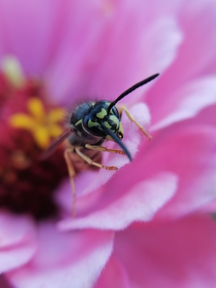 Photograph by Станислав Евсеев