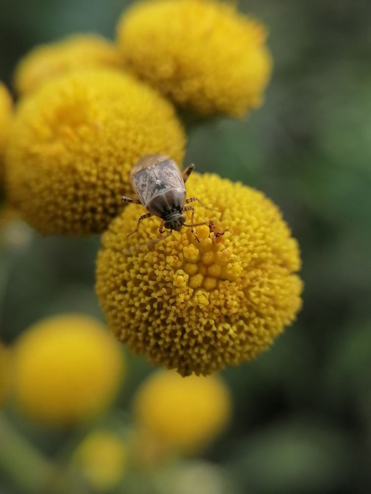 Photograph by Станислав Евсеев