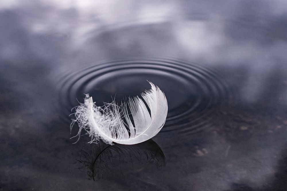 Photograph by Чорный Александр