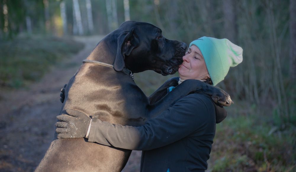 Фотография автора Aлексей Игнатьев