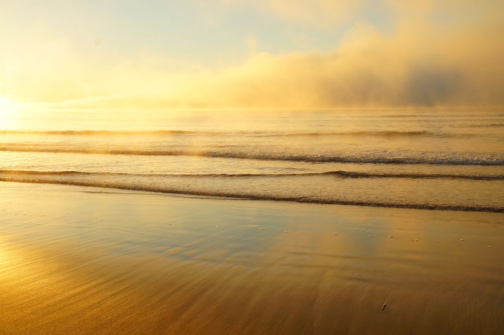 Photograph by Ирина Щеглова