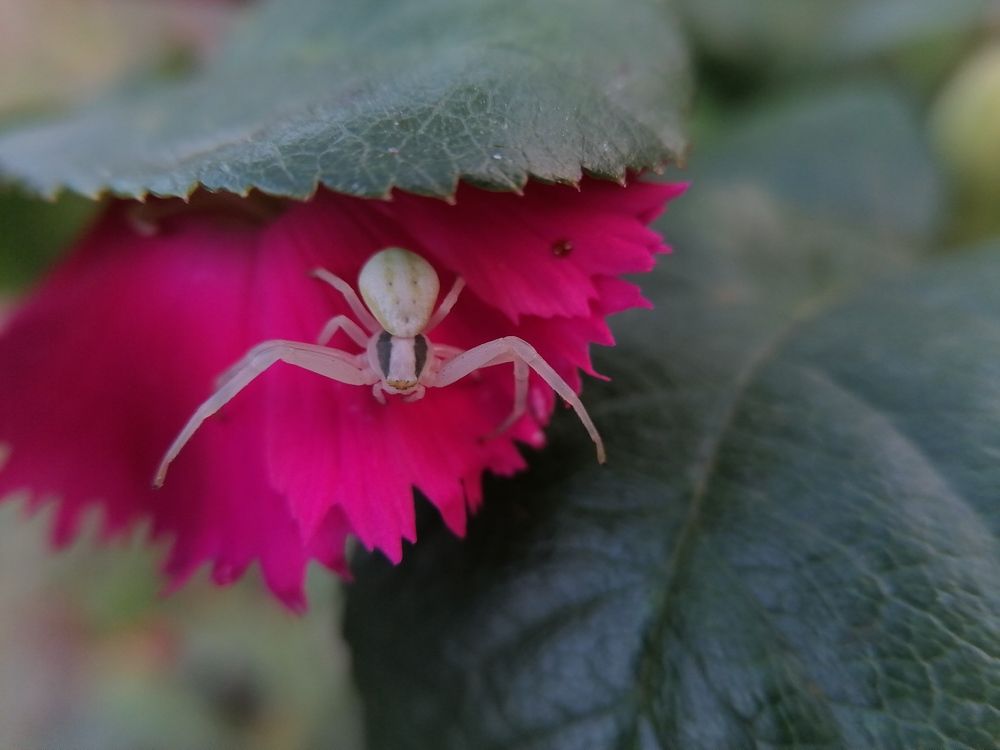 Photograph by Станислав Евсеев