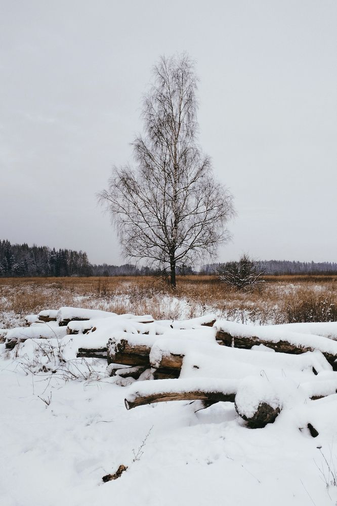 Photograph by  Kerry Moore