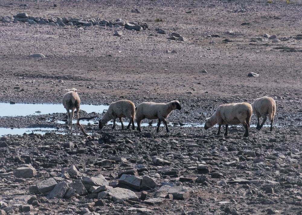 Photograph by Nicole Maria Oestreich