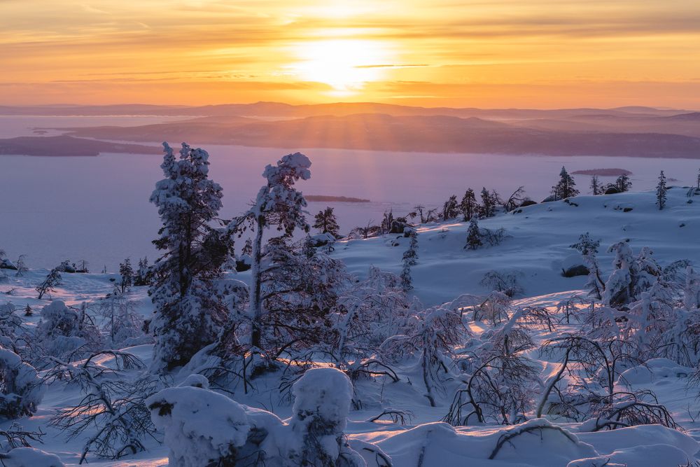 Photograph by Diana Karp