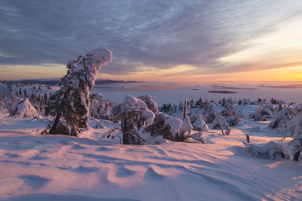 Photograph by Diana Karp