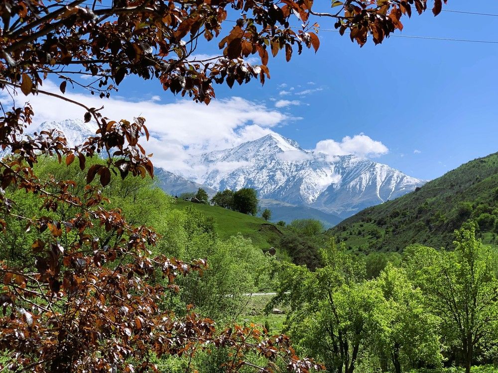 Photograph by Андрей