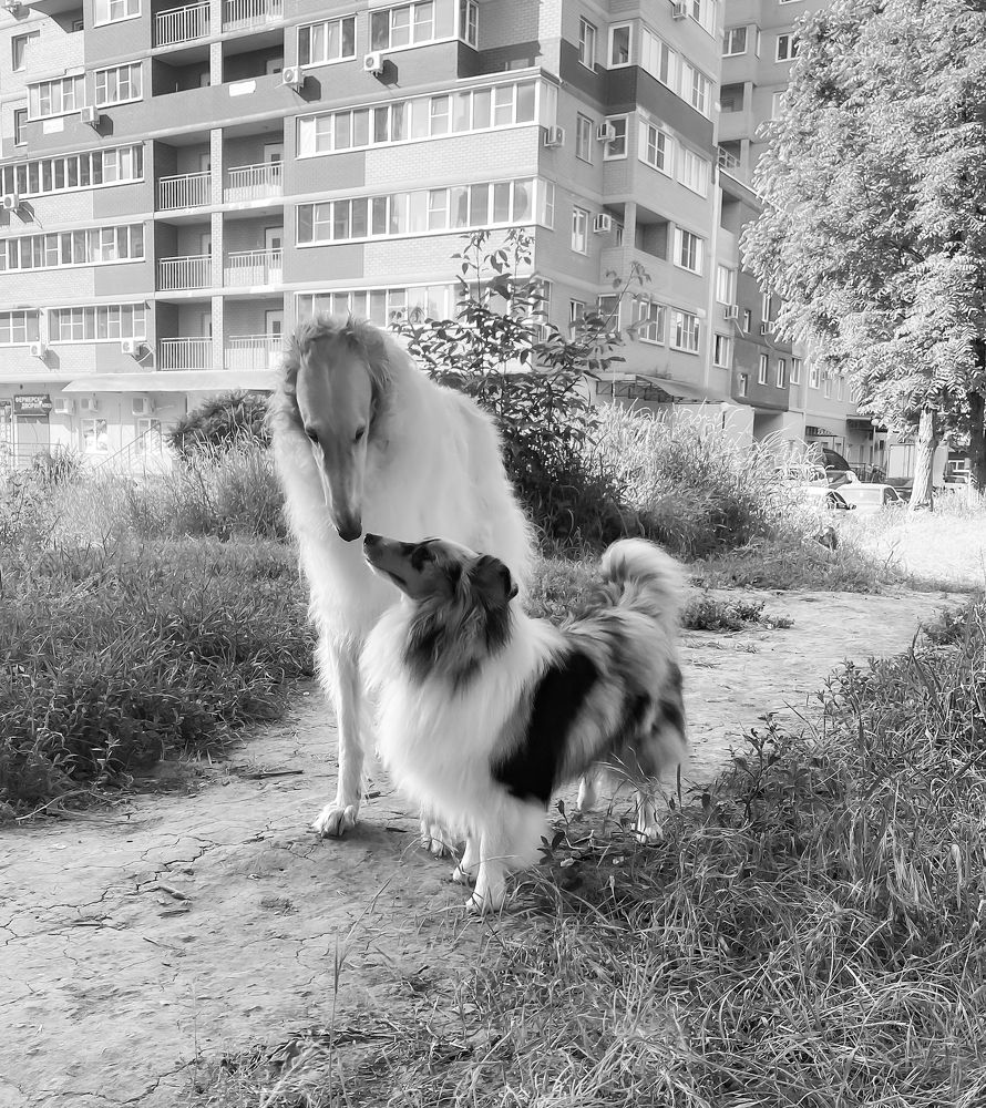 Photograph by Мария Чернецова