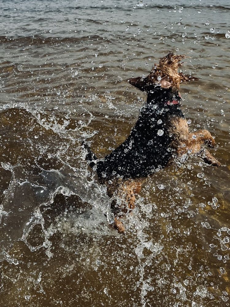 Photograph by Рина Серёгина