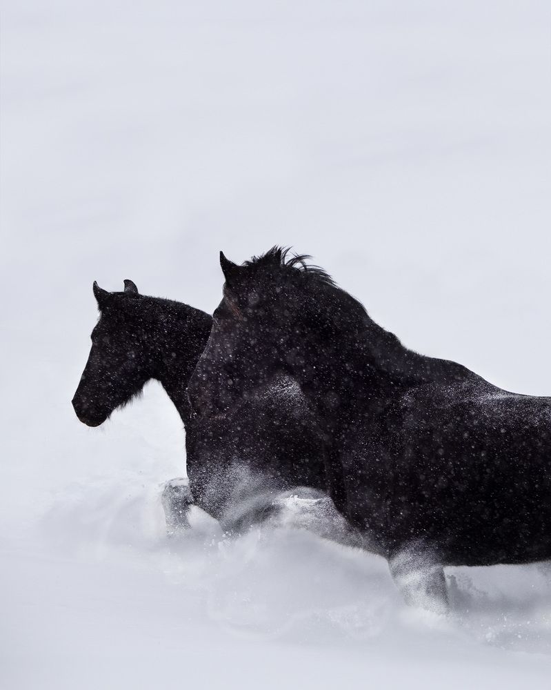 Photograph by Penny York