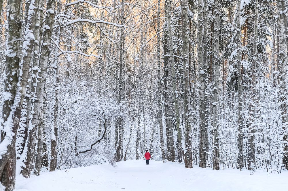 Photograph by Мария Новоселецкая