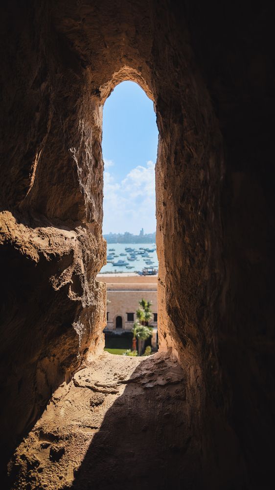 Фотография автора Talal Abodeshish