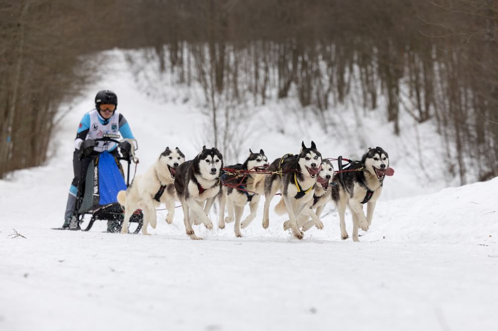 Photograph by Илья Юфа