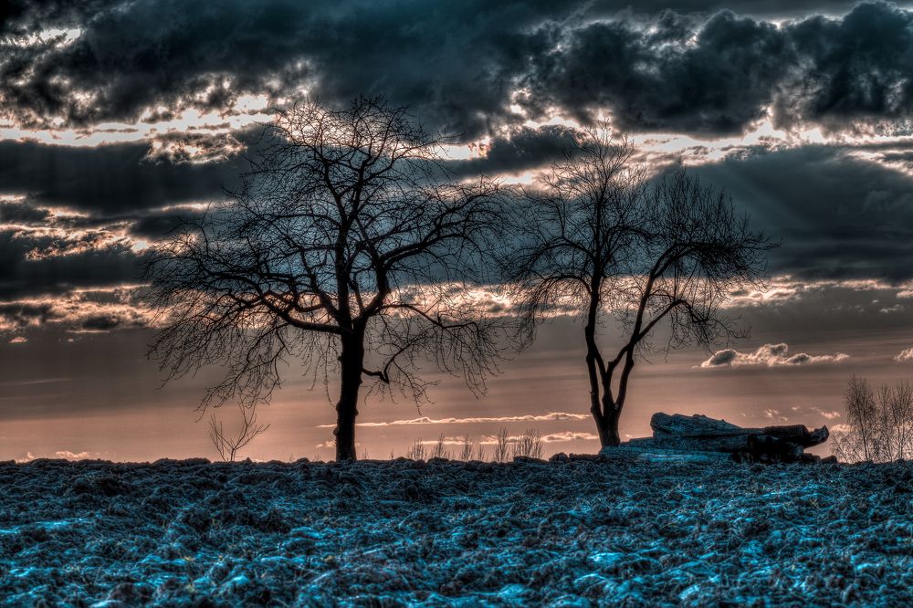 Photograph by Vladyslav Zolotarevskyi