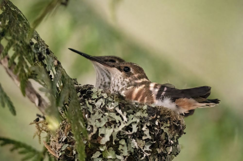 Photograph by Jordan Blackstone