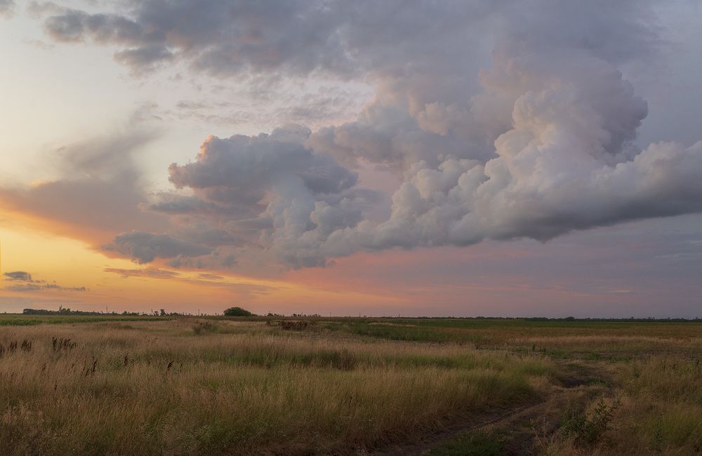 Photograph by Эдуард Шадров