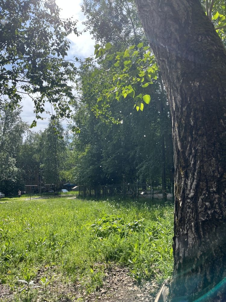 Photograph by Инна Маракова