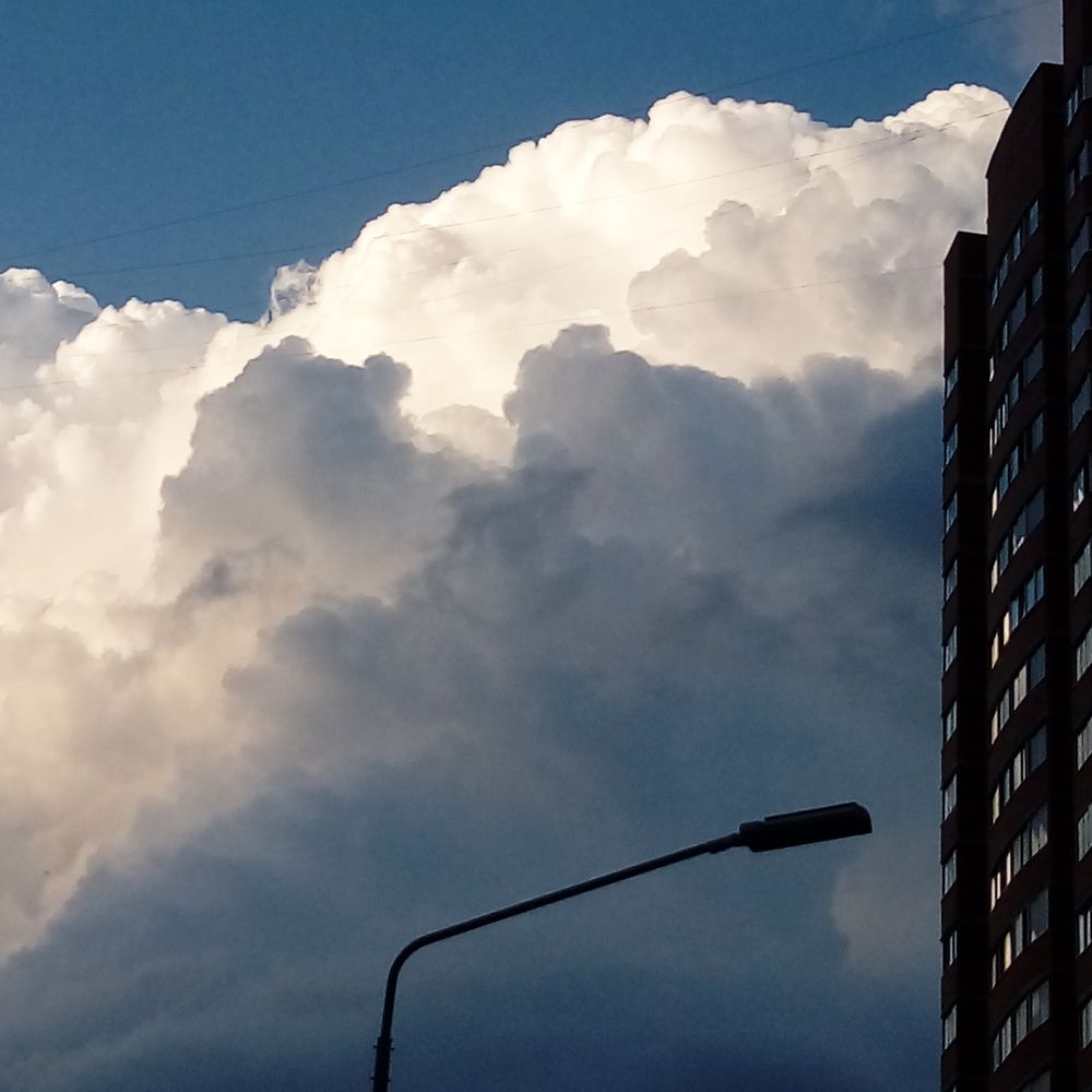 Photo #10428061