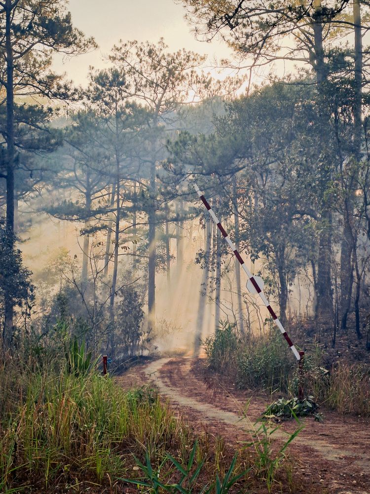 Photograph by Андрей Мертвищев