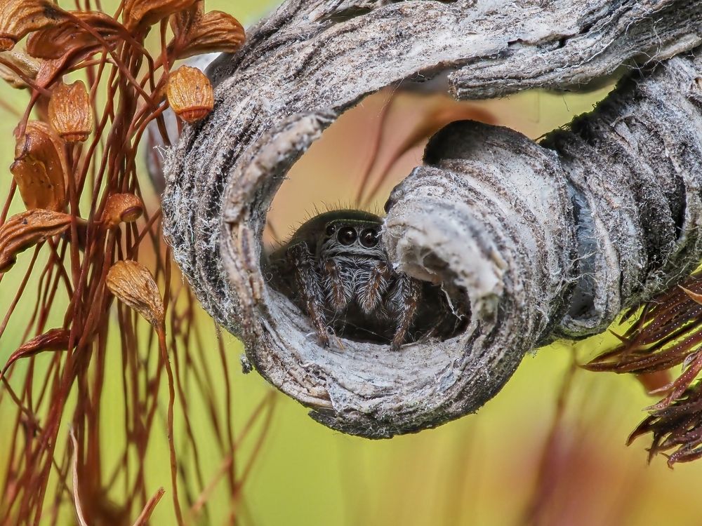 Photograph by Максим Кошелев