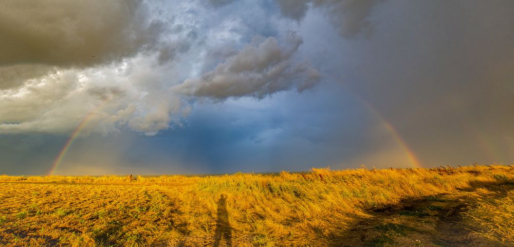 Photograph by Эдуард Шадров