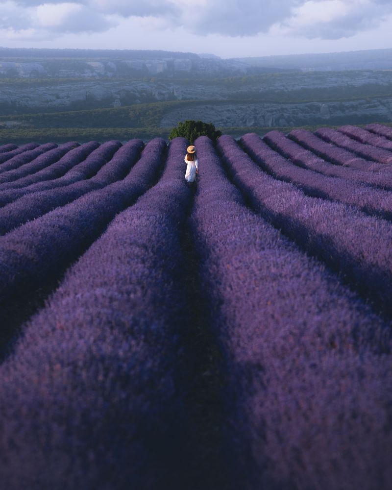 Photograph by Алексей Соколенко