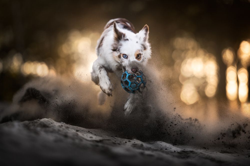 Photograph by Izabela Lyson