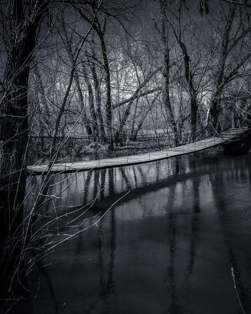 Фотография автора Караваев Антон