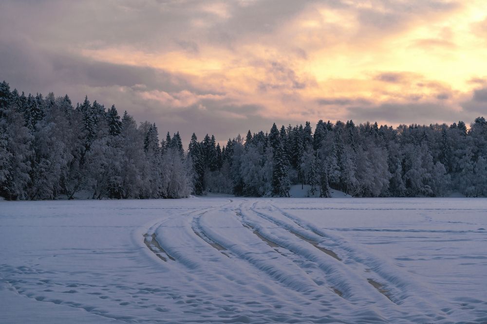 Photograph by Александр Шершнев