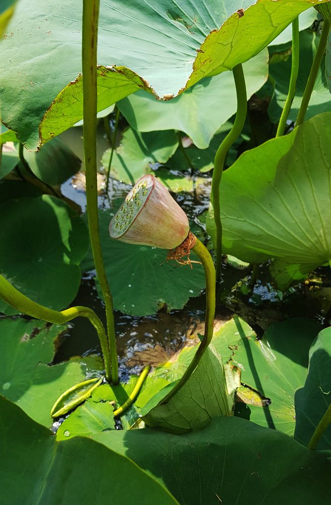 Photograph by Nataliya Kalinina