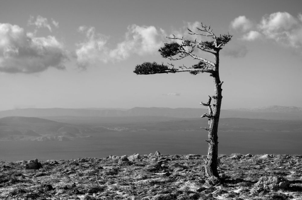 Photograph by Damir Gržin