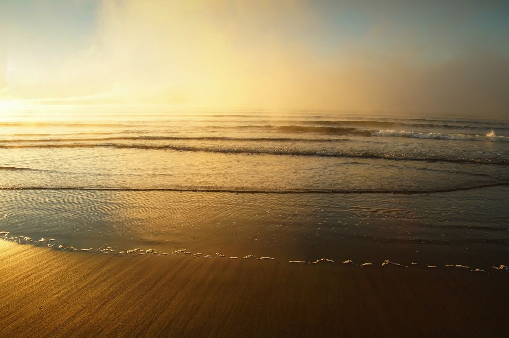 Photograph by Ирина Щеглова