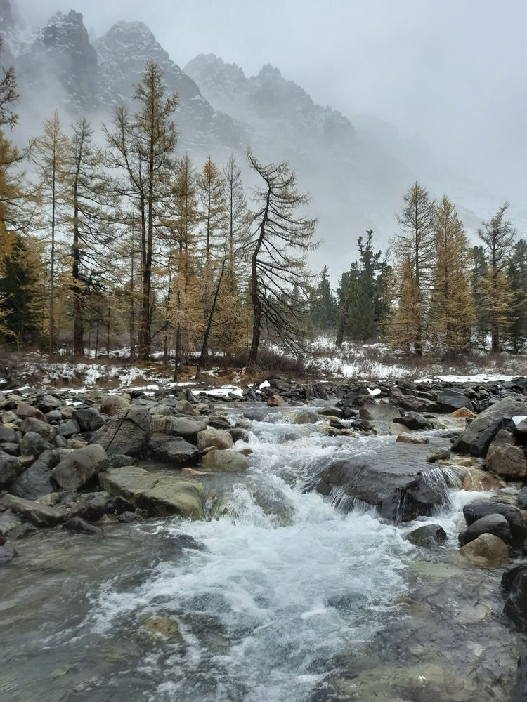 Photograph by Леонид Синев