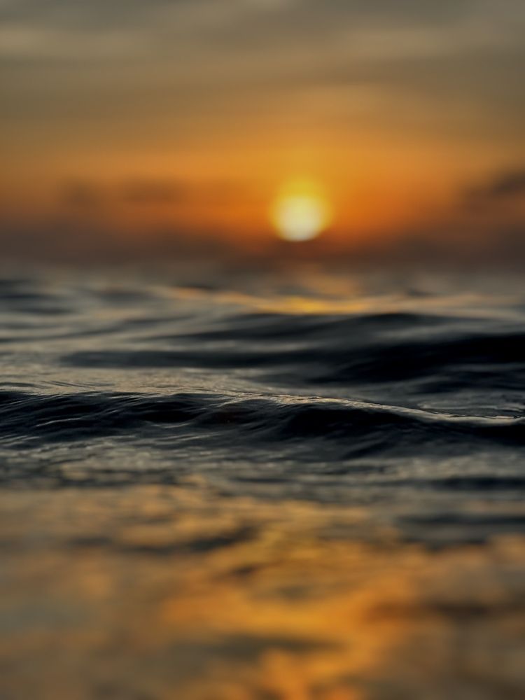 Photograph by Livia Xhaferri