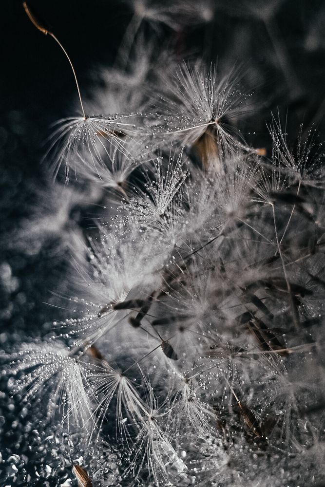 Фотография автора Воробьёва Анна