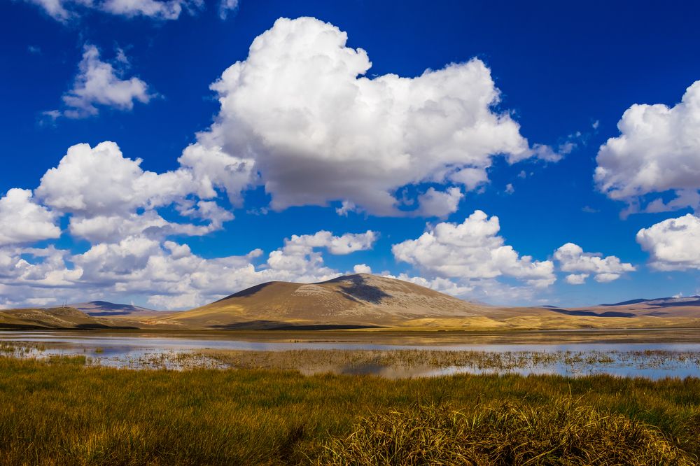 Photograph by Levan Svanidze