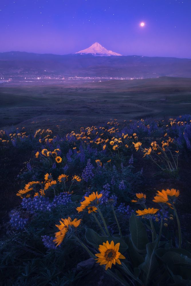 Photograph by Atanu Bandyopadhyay