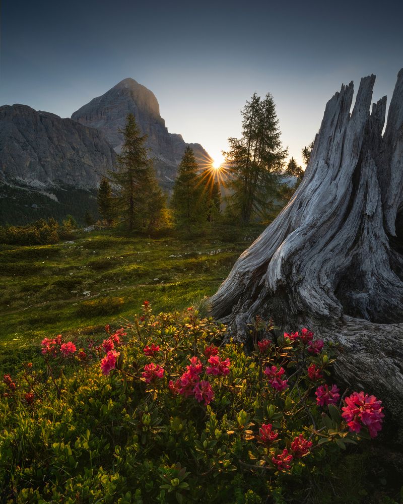 Sunrise in the Dolomites