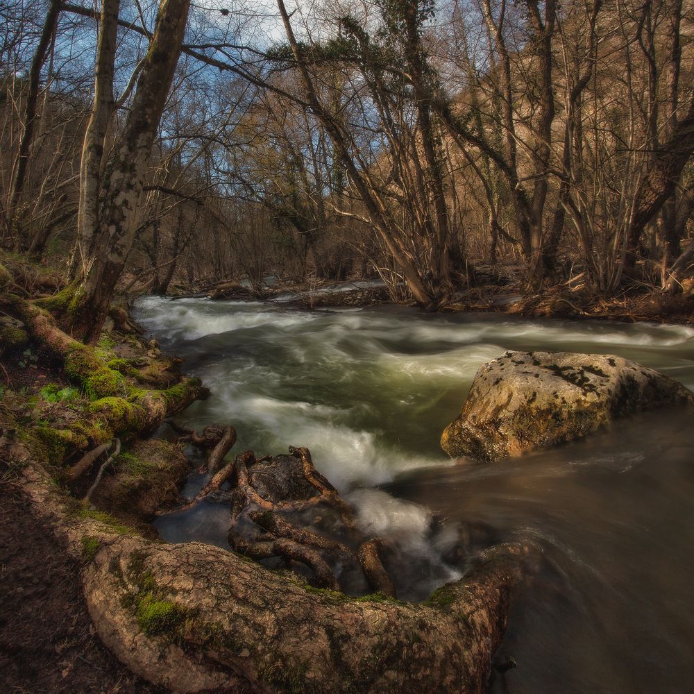 Photograph by Щепотина Татьяна