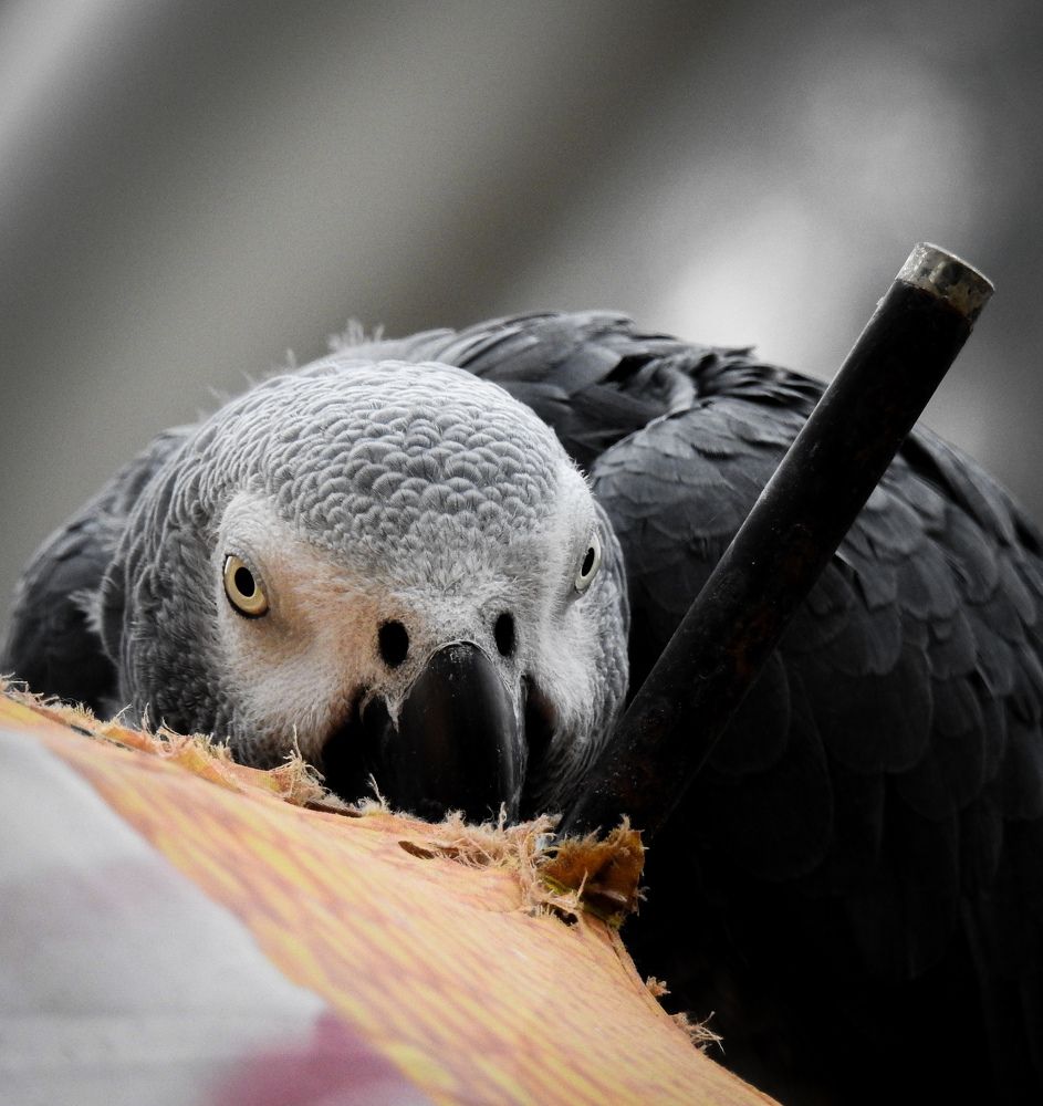 Photograph by Jay Sharan