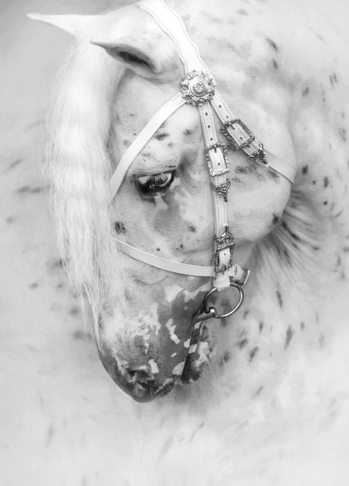 Photograph by Екатерина Михайлова