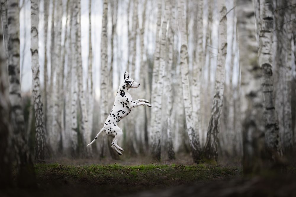 Photograph by Izabela Lyson