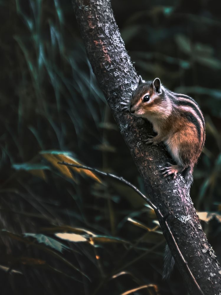 Фотография автора Andrey