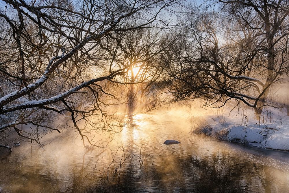 Photograph by Александр Шершнев